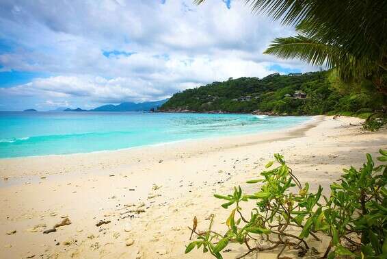 לא הסתפקנו בתמונה אחת של סיישל // צילום: עמי שומן