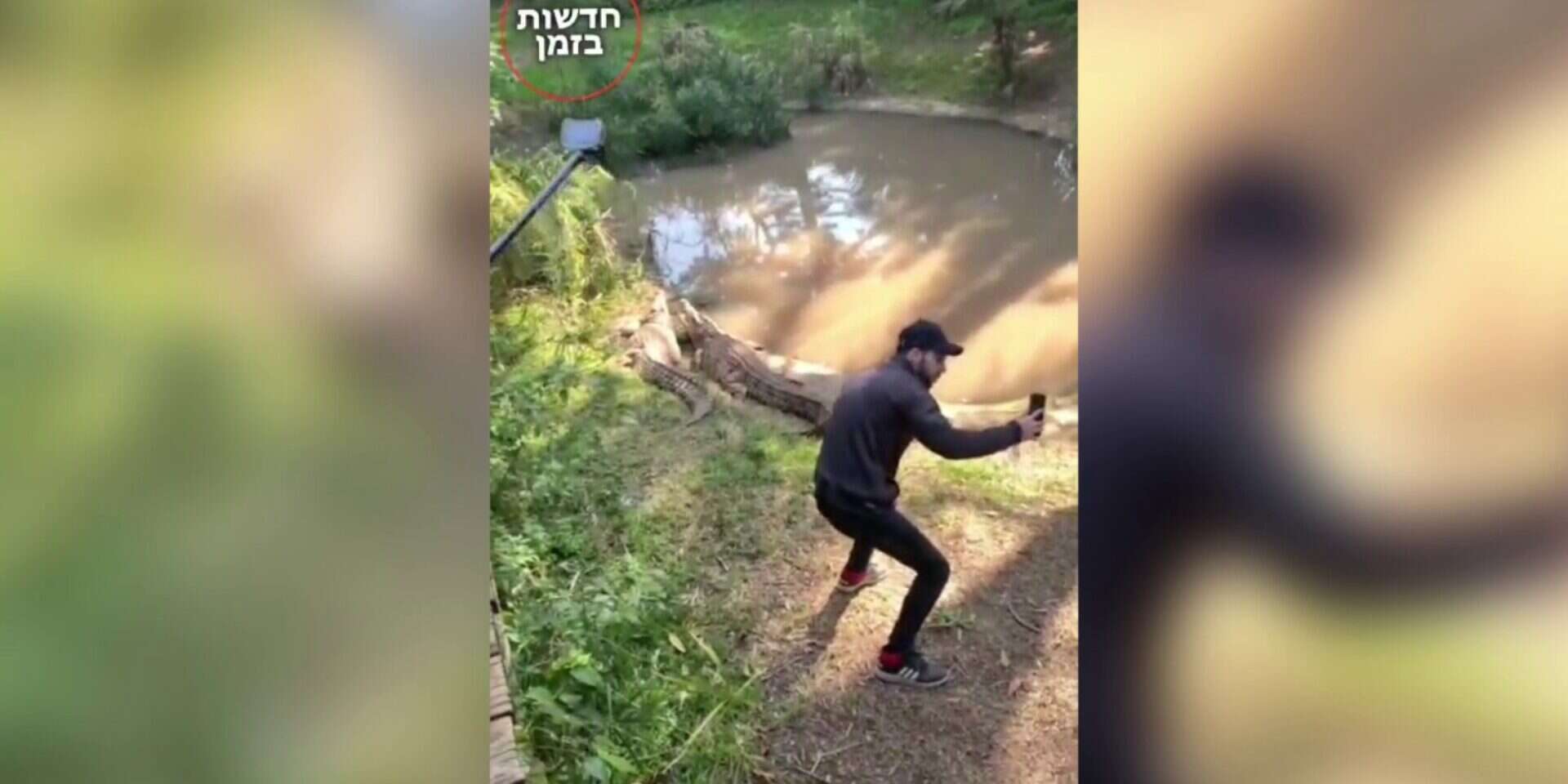 תיעוד של הצעיר במתחם התנינים בספארי ,