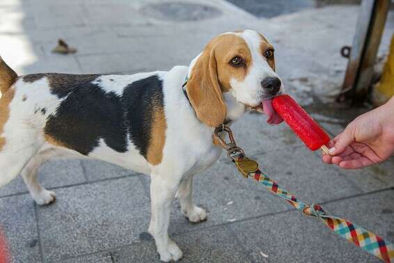 יהיה חם מאוד גם בראשון ובשני // צילום ארכיון: יהושע יוסף