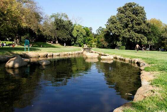 חורשת טל // צילום: אנצ'ו גוש - ג'יני