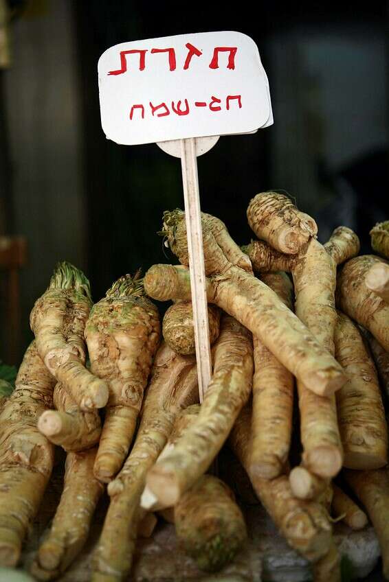 צילום: יהושע יוסף