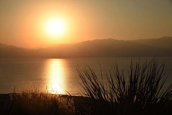 השמש יכולה להיות מסוכנת // צילום: דודו גרינשפן