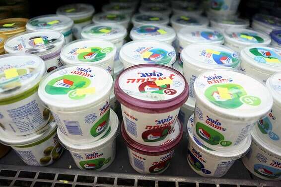 כך ירד מחיר הקוטג' // צילום: יהושע יוסף