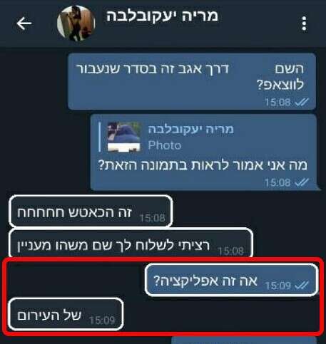 צילום מסך מתוך אחת ההתכתבויות // צילום: דובר צה"ל