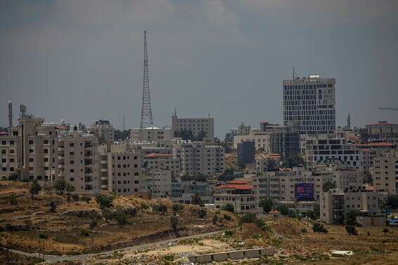 "לאנשים נמאס מהמאבקים" // צילום: מישל דוט קום
