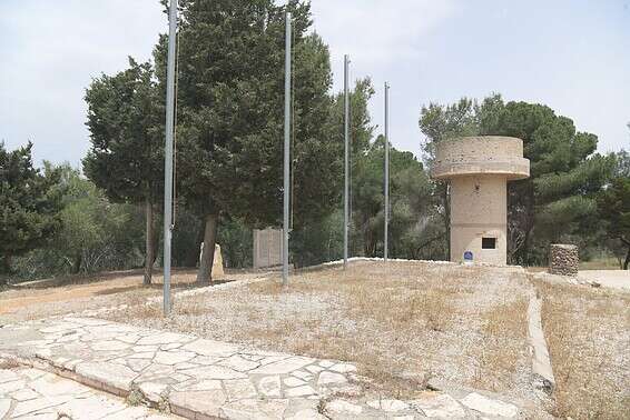 הקוצים כבשו את האתר ההיסטורי // צילום: יוסי זליגר