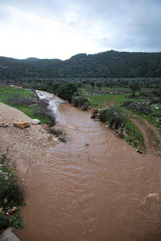 זירת אסון נחל חילזון // צילום: מישל דוט קום