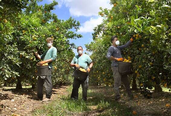 צילום: אפרת אשל 