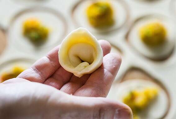 הדלעת, היא הקרא,  כדי ש"תקרע רוע גזר דיננו וייקראו לפניך זכויותינו". קרפלך דלעת // צילום: איתיאל ציון