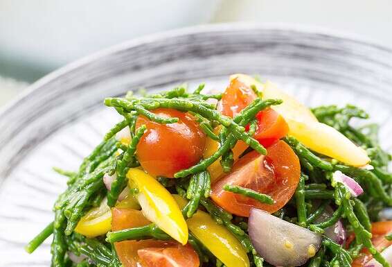 שילוב מנצח של טעמים. סלט סליקורניה // צילום: איתיאל ציון