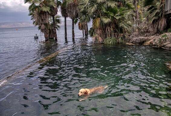 צילום: גיל אליהו/ג'יני