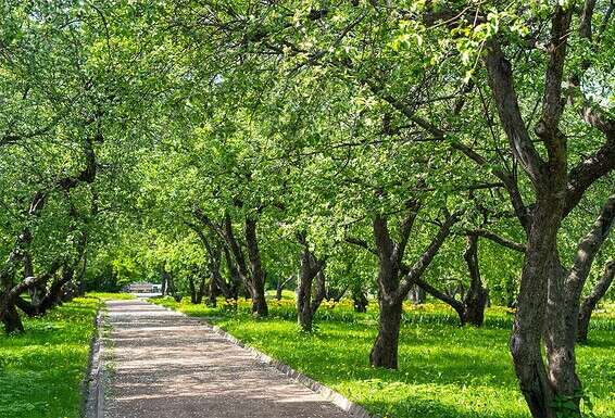 כדור בהתעוררות // צילום: GettyImages