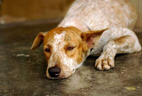 אילוסטרציה // צילום: GettyImages