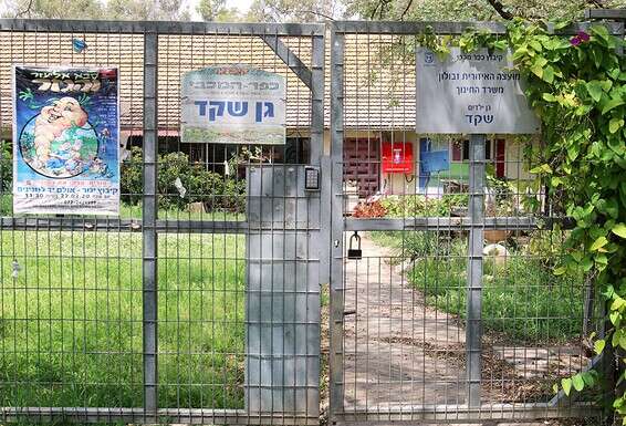 צילום: הרצי שפירא 