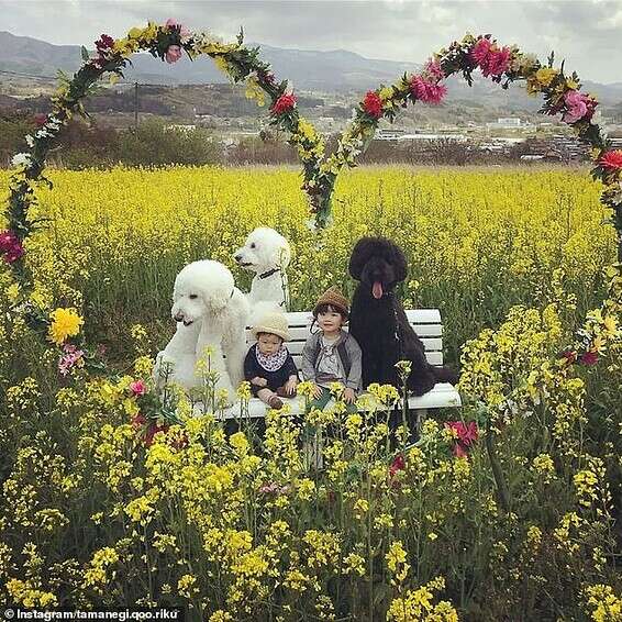 צילום מתוך אינסטגרם