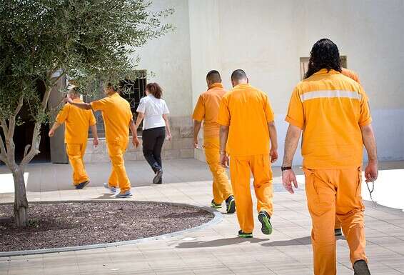 נוכחות גבוהה של הנגיף בקרב כלואים. אסירים בבית הכלא // צילום: אילוסטרציה: משה שי. למצולמים אין קשר לתוכן הכתבה