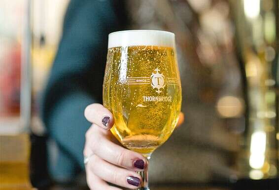 בירה בריטית / צילום: ללא קרדיט