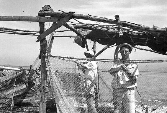 דייגים מחולתה מתקנים רשתות, 1950 צילום באדיבות הארכיון הציוני