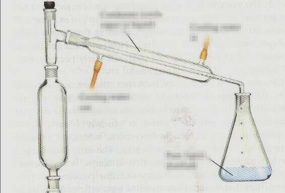 צילום: תקשורת שב"כ