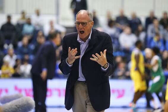 גרינברג. דרך חדשה בלב המושבה // צילום: לירון מולדובן