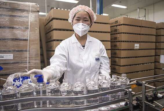 צילום: פיני מ. סילוק