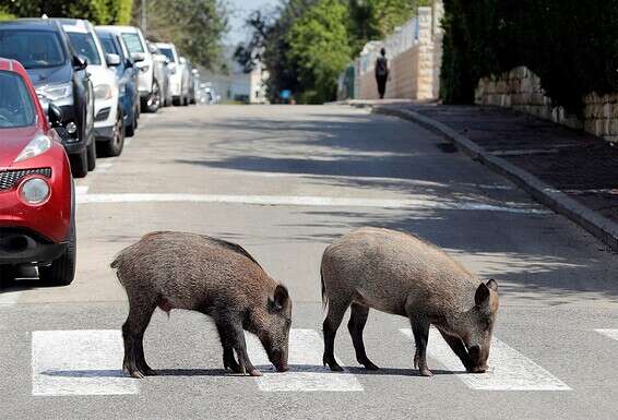 צילום: רויטרס