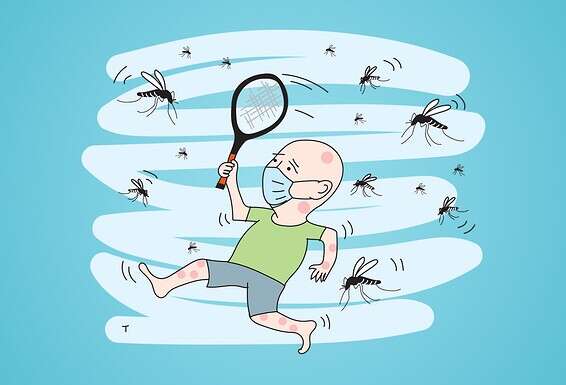 איור: טל לזר