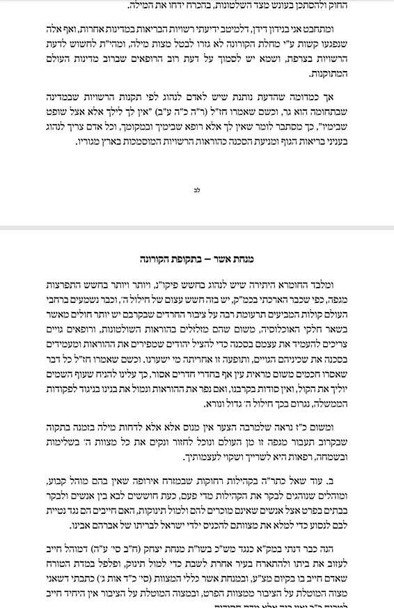 פסק ההלכה של הרב אשר וייס