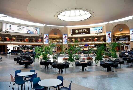 נתב"ג // צילום: יוסי זליגר