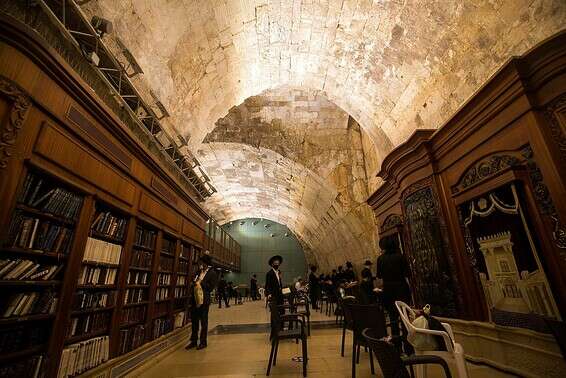 קשת וילסון // צילום: אורן בן חקון