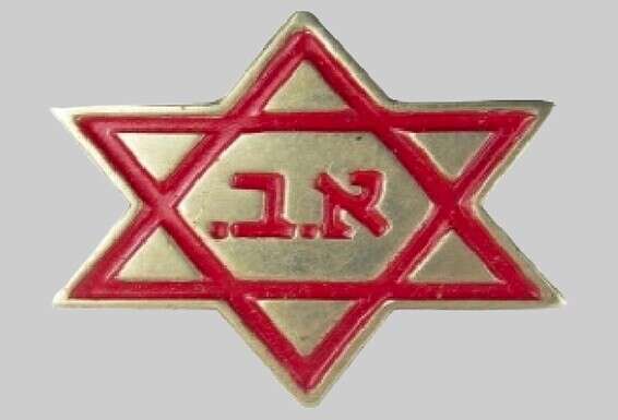 סיכת ארגון הבריאות. צילום: ארכיון אתר נוסטלגיה אונליין