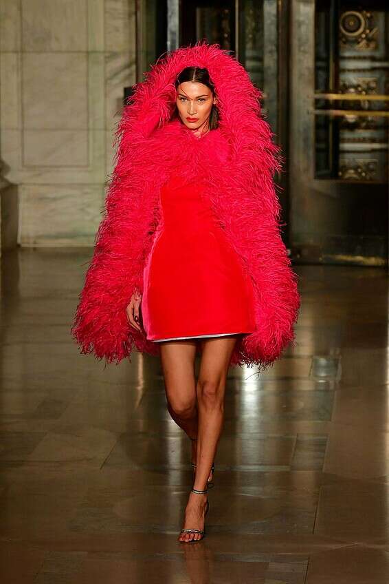 השכמייה // צילום: AFP