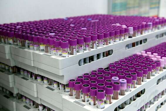 הנחיות חדשות לבדיקות // צילום ארכיון: יוסי זליגר