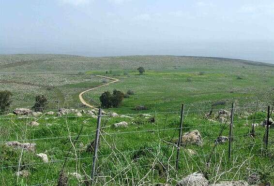 רמת כורזים // צילום: ד"ר עמית דולב