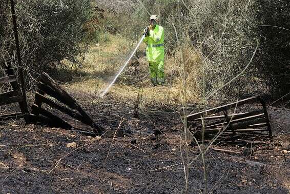 השריפה ביער הנשיא, אמש // צילום: יהונתן שאול