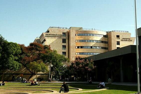 בית חולים תל השומר // צילום: רוני שיצר