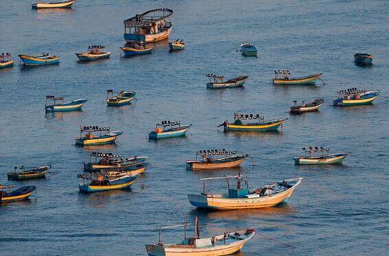 סירות דיג ברצועת עזה, החודש // צילום ארכיון: AFP