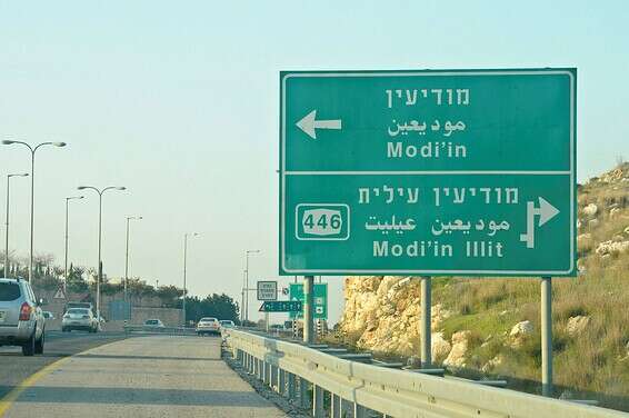 שיעור הפריון במודיעין עילית- הגבוה ביותר // צילום: מאיה באומל בירגן