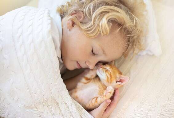 צילום: Getty Images