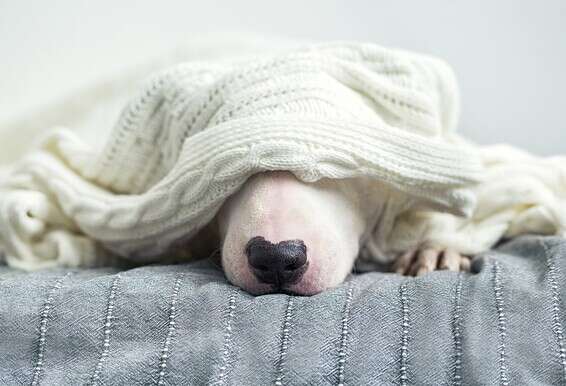 צילום: Getty Images