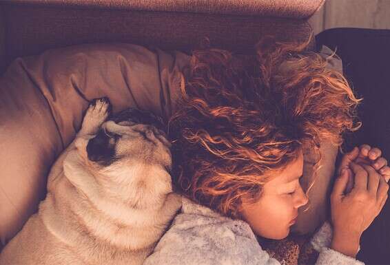 צילום: Getty Images