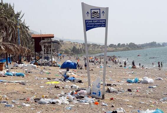 אשפה בחוף הכנרת (צילום מ־2010). דרושים קנסות דרקוניים על טינוף הטבע // צילום: גיל אליהו