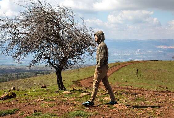 בנה של נסיבה, סעיד - יד ימינה, היודע את אדמת הגולן. צילום: איתיאל ציון