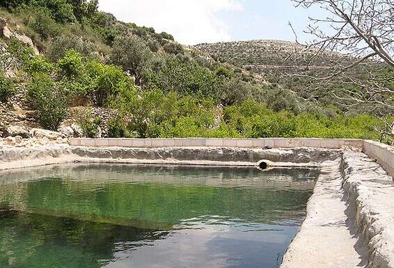 "עצם העובדה שאנחנו עוד מטיילים שם היא אמירה של ניצחון". מעיין דני // צילום: מיכל גלעדי