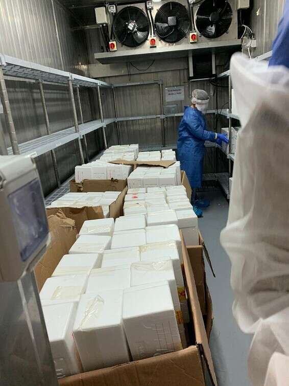 "עד אלף בדיקות ביום" // צילום: משרד הבריאות 