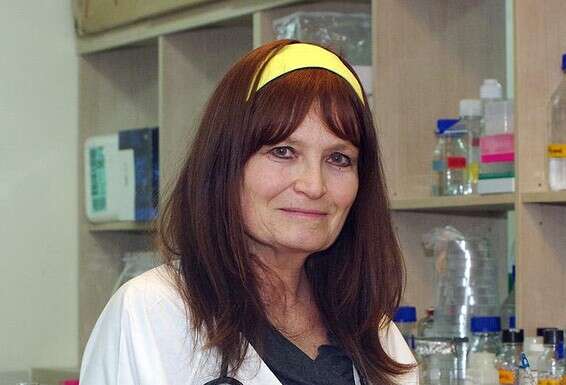 פרופ' גליה רהב