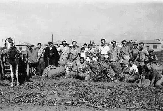 חקלאים במושבה כפר סבא, 1950