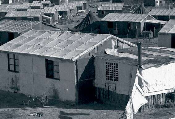 מעברת חולון, 1952 // צילום: טדי בראונר, לע"מ