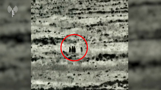 החוליה שחוסלה