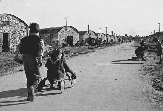 צילום: זולטן קלוגר, לע"מ